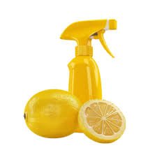 Limpiador multiuso EcoVision, spray de 500ml